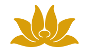 VN